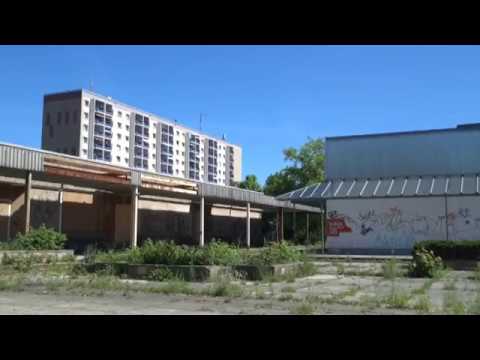 Kühnichter Heide bleibt Brache - ELSTERWELLE