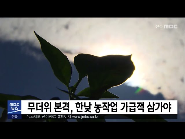 무더위 본격, 농작업 시 주의 필요