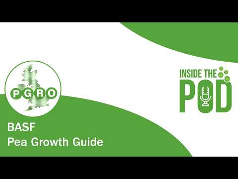 Inside the Pod - BASF: The Pea Growth Guide