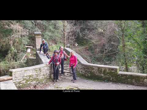 Alpi Apuane: Cascate dell'Acquapendente  6.2.2021