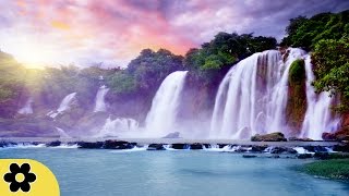 Sleep Music, Sleep Meditation, Calm Music, Insomnia, Sleep Therapy, Relax, Study, Spa, Sleep, ✿2580C