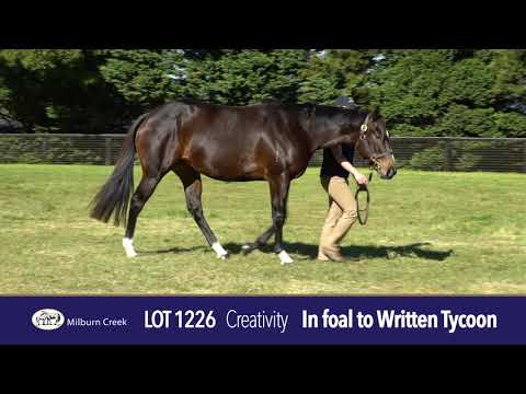 2021 Gold Coast National Broodmare Sale Lot 1216