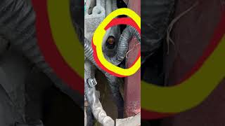 13-16 Ford Escape hard shifting slipping transmission fault service transmission now. $07E8 P0715