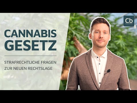 Alles über das Konsum-Cannabisgesetz: Was ist erlaubt, was nicht? 🌿
