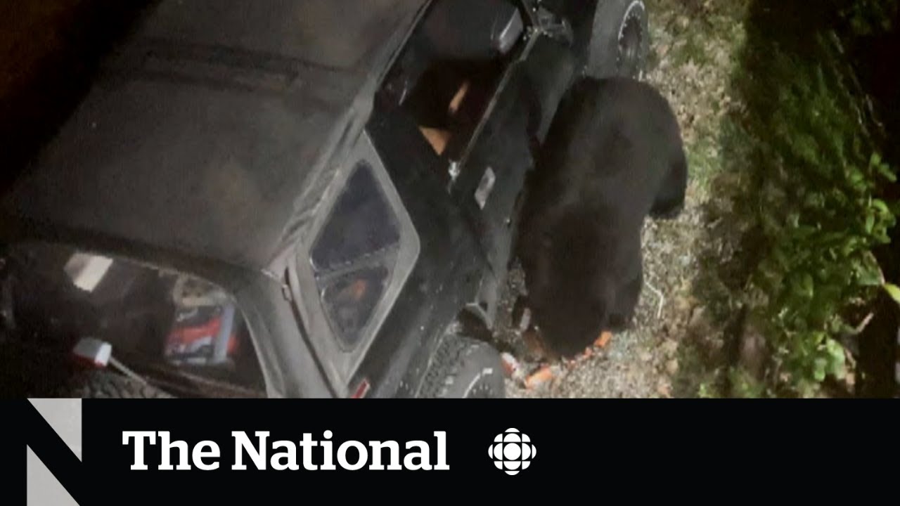 YouTube video preview