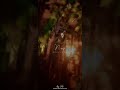 Methuva Methuva Tamil Love Whatsapp Status Sk Lovers Edits
