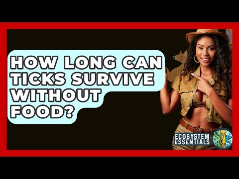 How Long Can Ticks Survive Without Food? - Ecosystem Essentials