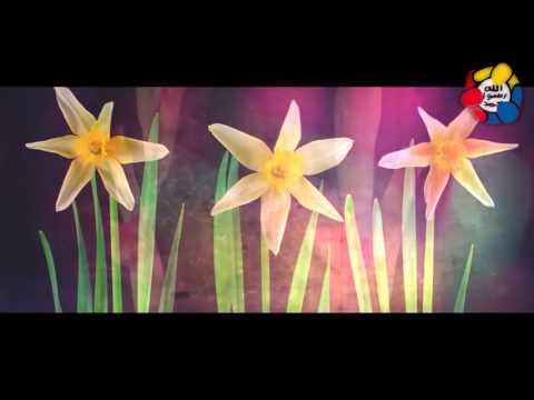 One of the Most Romantic Love Stories In Islam | Suhayla & Farooq | Jalal Ibn Saeed