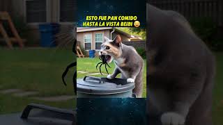SASY LA CHIHUAHUA CORRE PELIGRO🥲 #chihuahua #perros #mascotas #animales #perroabandonado