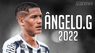 Ângelo Gabriel 2022 ● Santos ► Amazing Skills & Goals | HD