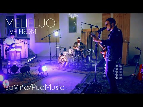 MELIFLUO - Live from LaViña/PuaMusic
