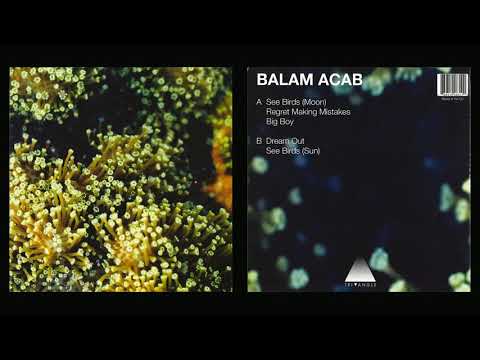 Balam Acab - See Birds 12" (2010)