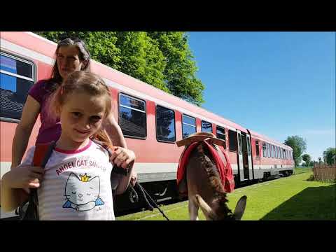 Erlebnisse mit der Räuberbahn: Auf Eseln ins Pfrunger Ried