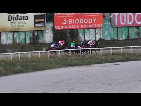 3.10.2021 Trka VI - KOSTOLAC - Hipodrom Beograd