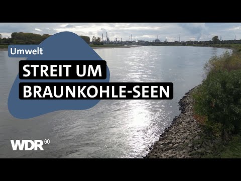 RWE will gratis Rheinwasser trotz Milliardengewinnen | Westpol | WDR