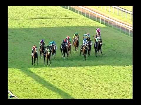 2012-08-01 Clairwood - race 8