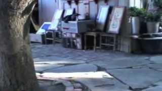 Graffiti 17 months Bite Work Training