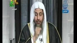 منوعات 207 هذا هدي  الحكمة06