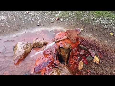 Ricaedy-Izvorul Mineral dela Darmoxa