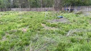 Clearing and leveling backyard