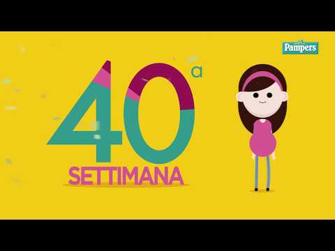 Giunti di video massaggio Legamenti della spalla ICD articolazione