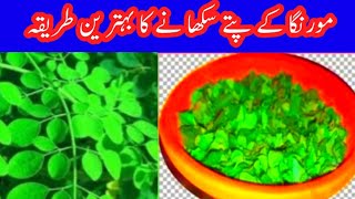 How To Dry Moringa Leaves Naturally / How To Dry Moringa Leaves At Home / Maha Alvi
