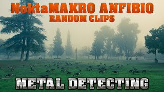 Metal Detecting: NoktaMakro Anfibio - Random Clips - Silver Ring