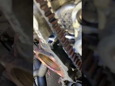 Ford transit 2.0 wet belt breaking of after 116k