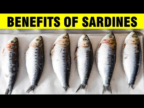 10 Surprising Health Benefits of Sardines | Nutritional Benefits