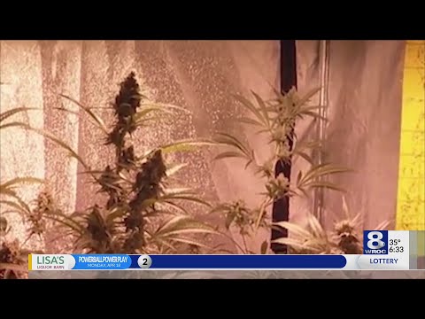 A look at the local cannabis industry on 4/20