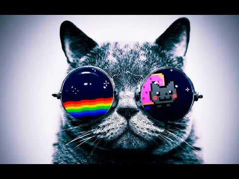 House music (the lucky one)