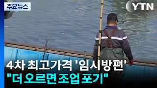 4차 최고가격제도 '임시방편'...더 오르면 조업 포기 / YTN