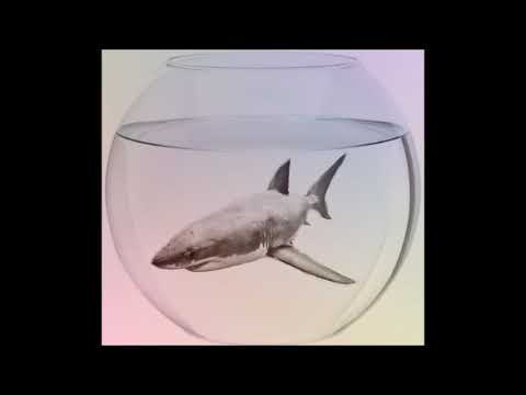 JIZZ O.M.G. - SHARK-BOWL(-LETRA EN DESCRIPCIÓN-)(PROD. SIMBA ANDREWS)
