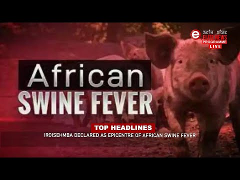 ELITE TV 12:30 PM ENGLISH NEWS  | 14th October 2023