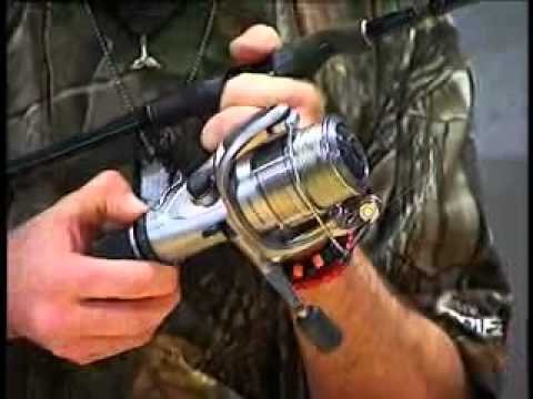 How to set your Baitrunner