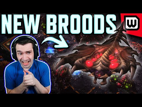 Clem vs Dark - This new patch strategy looks INSANE! StarCraft 2