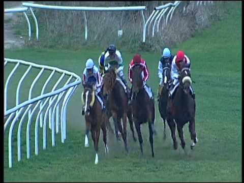 Galoppo 09/02/2016 - 5° corsa