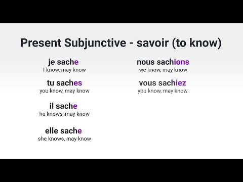 What Is the Present Subjunctive of avoir to have in French