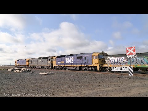 7732V Pacific National Grain Train With BL31 G523 8142 At Gheringhap (13/9/2024) - PoathTV Railway