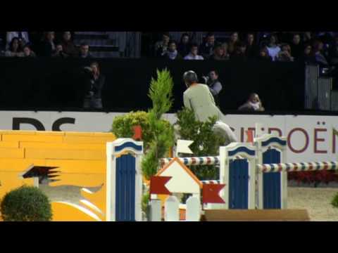 ♂ Coupe de Coeur- jumping stallion  (Holst) by Calido