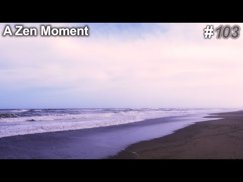 Walk on Playamar Beach | relaxing video