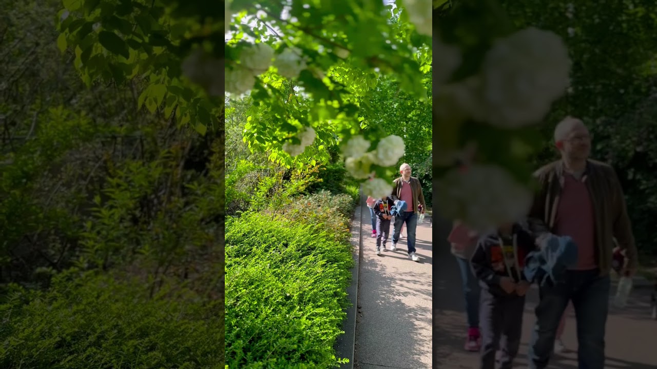 Coulée verte, Paris