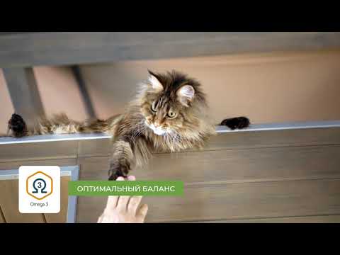 Миниатюра изображения товара Сухой корм для кошек Alleva Эквилибриум Сенситив с кроликом взрослых кошек / P61046 (10кг)