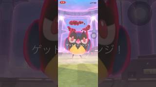 ポケモンGOマックスバトルココガラゲットできたかな？　#ポケgo #pokemongo #ポケモンgo #pokemon #ポケゴー #ポケモン #shorts #short #ココガラ