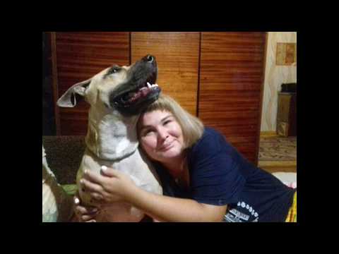 С ДНЕМ РОЖДЕНИЯ НАША МАЛЕНЬКАЯ МАНЮНЬКА. Исполнился годик.