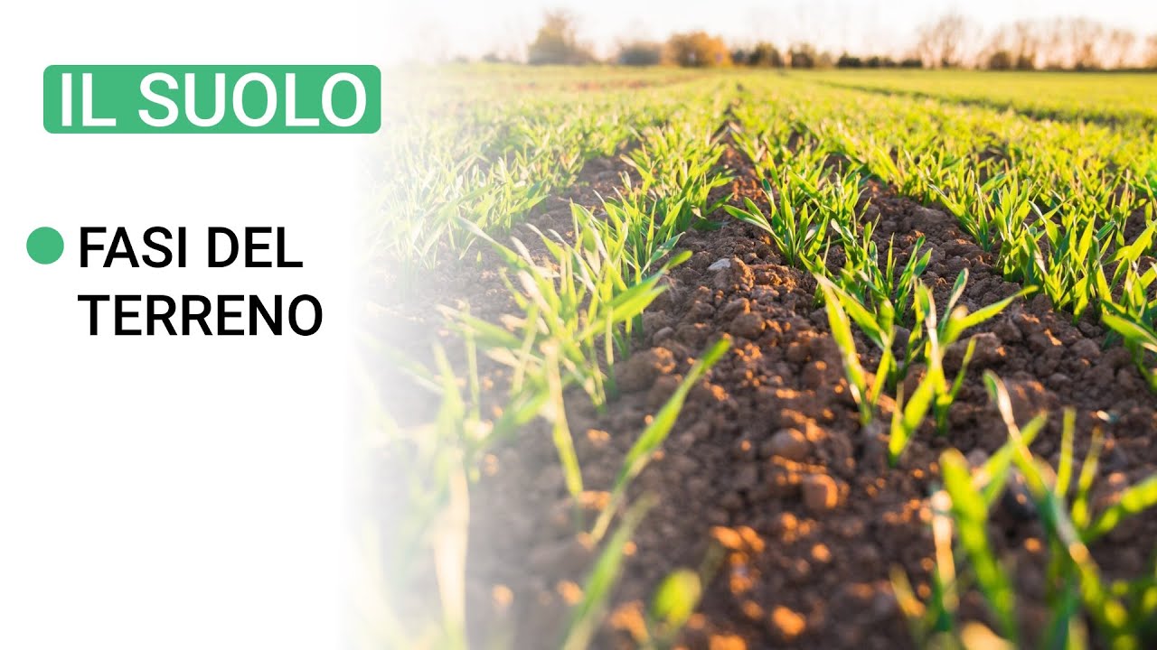 The components of the SOIL - Solid, Liquid and Gaseous Phase