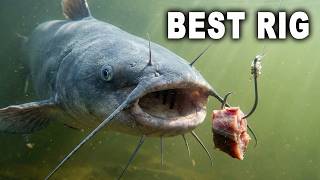 Catfish Rig Showdown Ends With Unexpected Winner