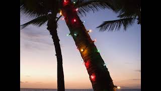 Pete Townshend - Let My Love Open the Door (acoustic)