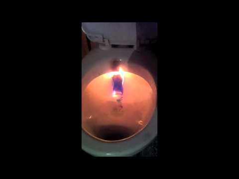 muszla w muszli nr 244