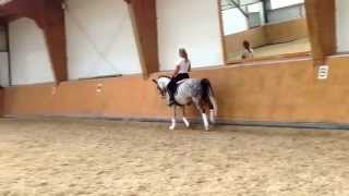 Marienhof's Vanity Fair& Kim Pfeiffer, 7 jährige Ponystute - www.kim-Pfeiffer.de